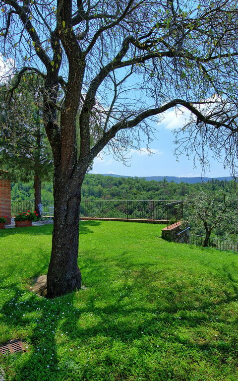 Villa Noceta: Trädgård, Utomhus