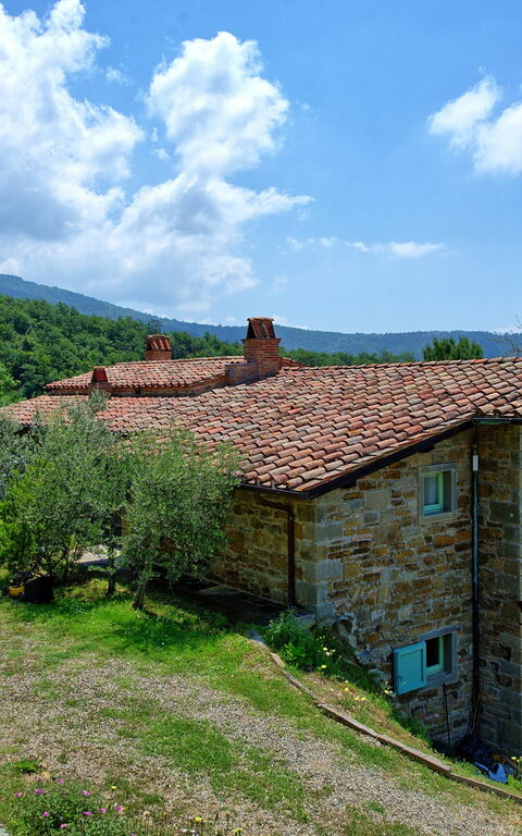 Villa Noceta: Utomhus