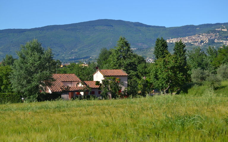 Casa Laura: Visningar