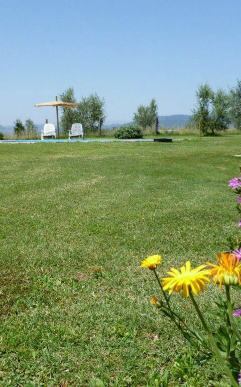 Funghi 1: Trädgård