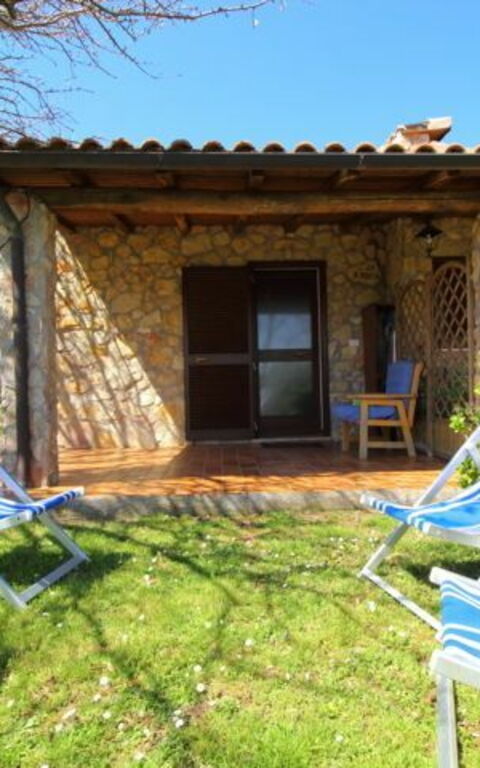 Funghi 1: Trädgård