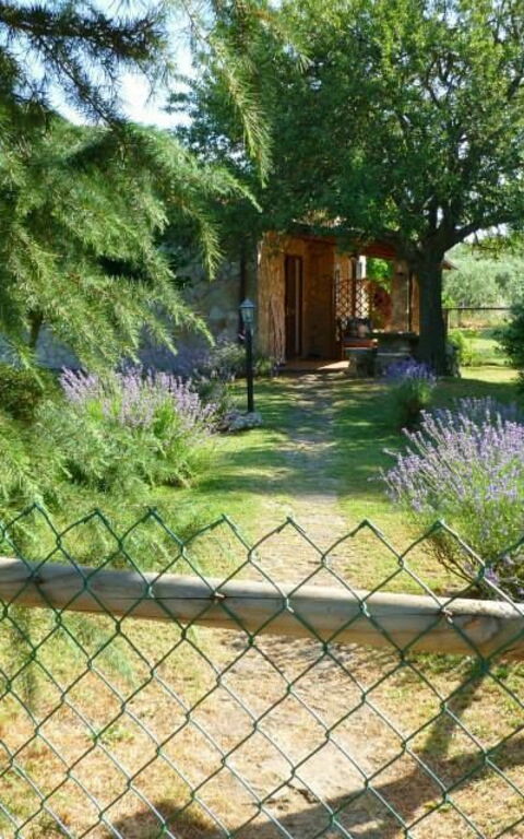 Funghi 1: Trädgård