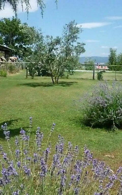 Funghi 1: Trädgård