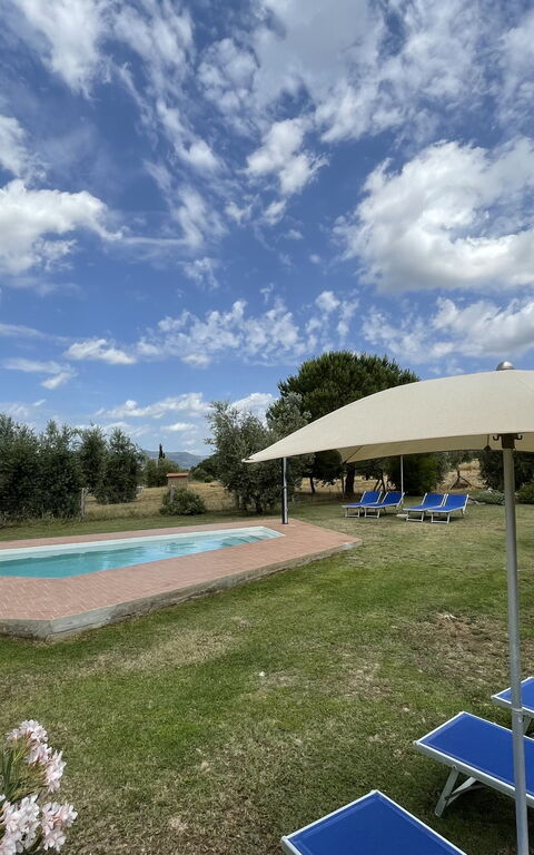 Funghi 1: Exteriör, slå samman, Trädgård, Utomhus