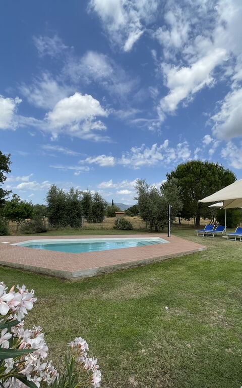 Funghi 1: Exteriör, slå samman, Trädgård, Utomhus