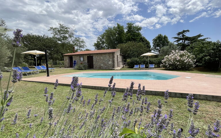 Funghi 1: Exteriör, slå samman, Trädgård, Utomhus