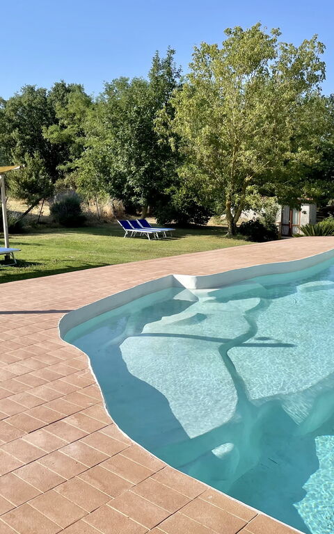 Funghi 2: Exteriör, slå samman, Trädgård, Utomhus