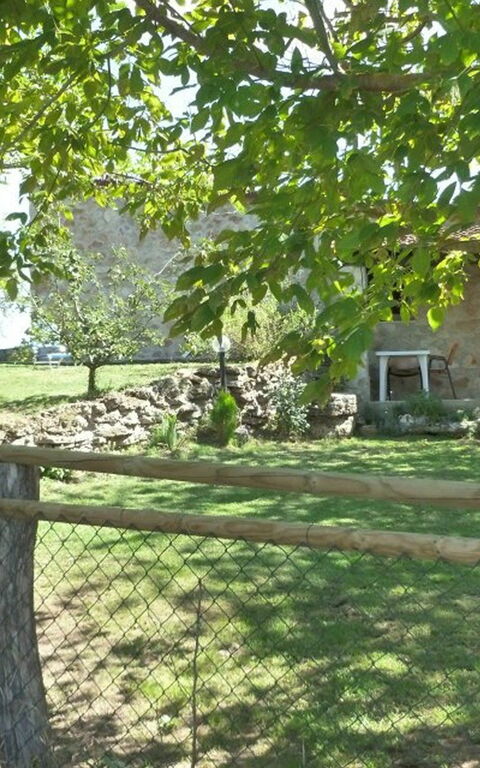 Funghi 2: Trädgård