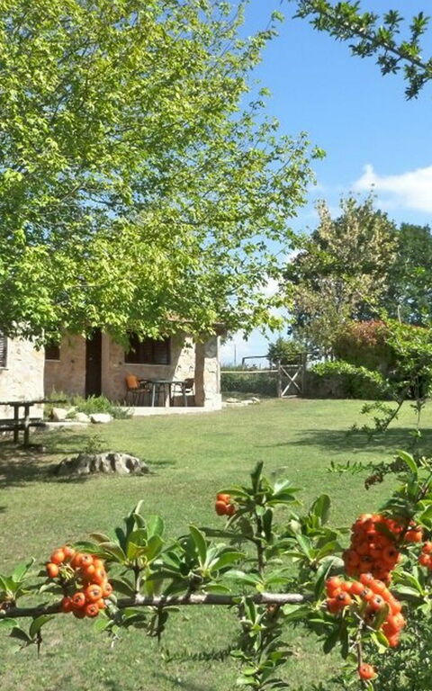 Funghi 2: Trädgård