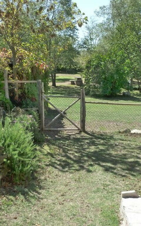 Funghi 2: Trädgård