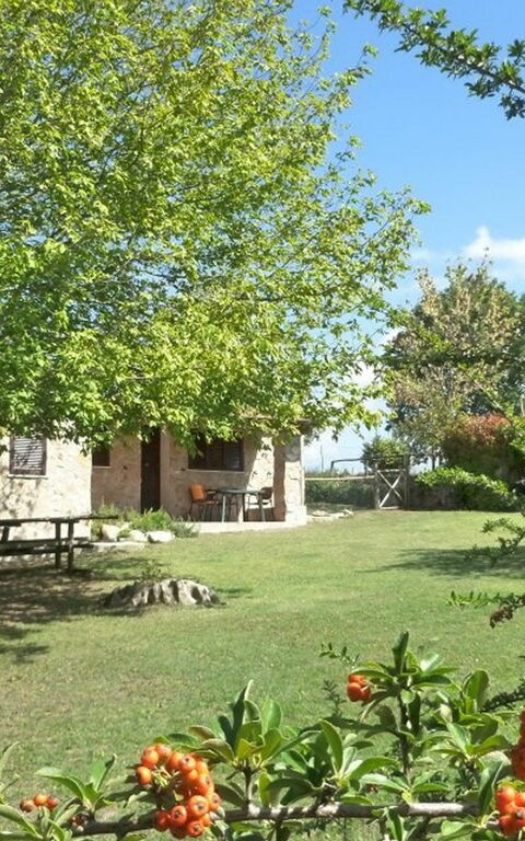 Funghi 2: Trädgård