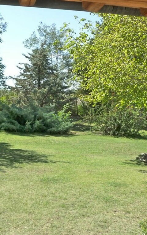 Funghi 2: Trädgård