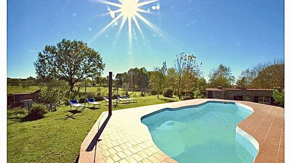 Funghi 2: Exteriör, slå samman, Trädgård, Utomhus