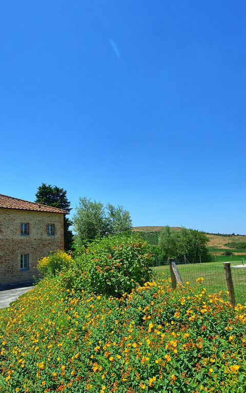 Casale La Valle - Castelfalfi: Trädgård
