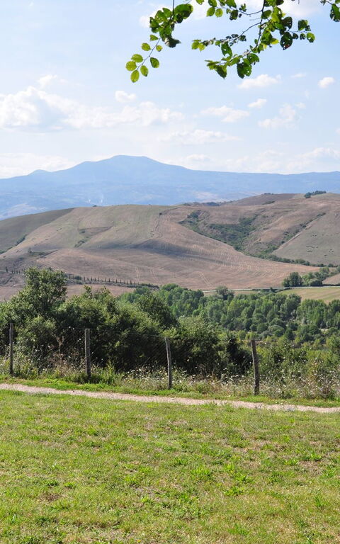 Le Querce Di Campocane: Trädgård, Visningar