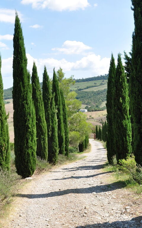 Le Querce Di Campocane: Exteriör