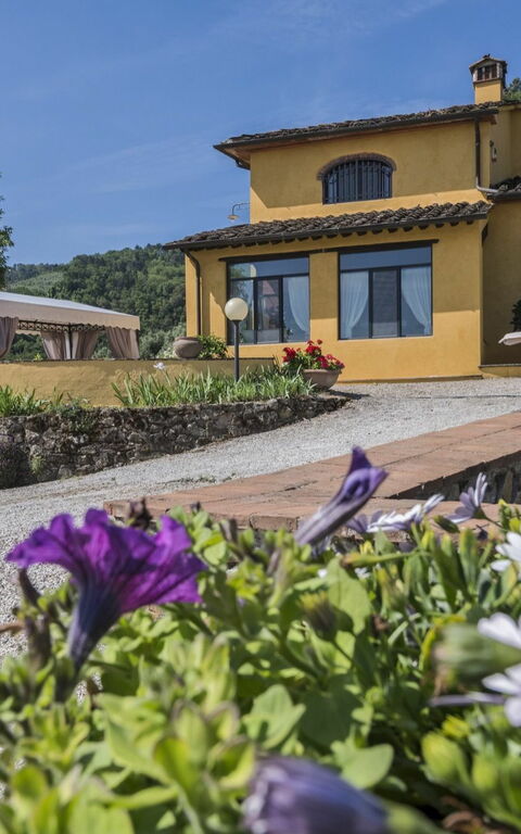 Villa Casalguidi: Exteriör, Trädgård