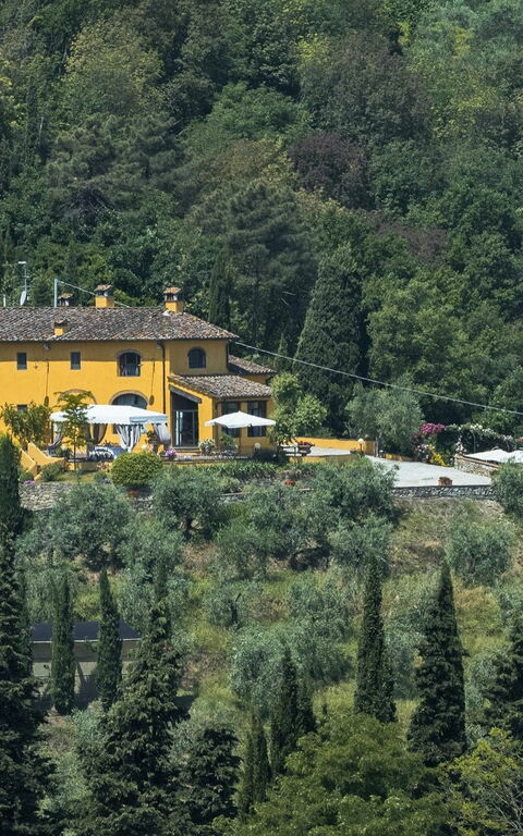 Villa Casalguidi: Trädgård