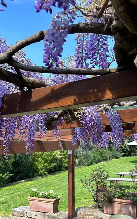 Antico Casale: Balkong / terrass / uteplats, Exteriör, Utomhus