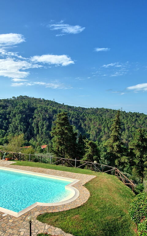 Il Gualdo: slå samman, Visningar