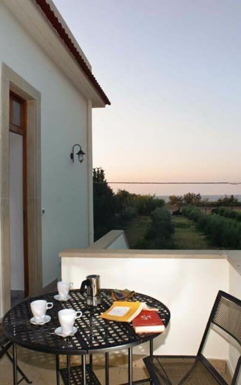 Cicero: Exteriör, Trädgård