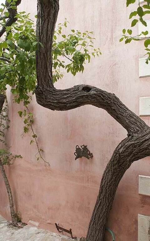 Baglio Maranzano - Titi: Exteriör