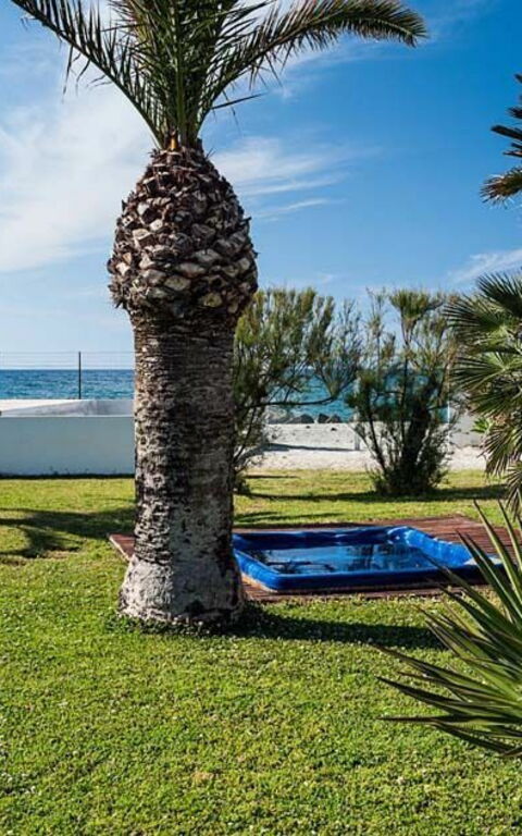 Cala Marina: Trädgård