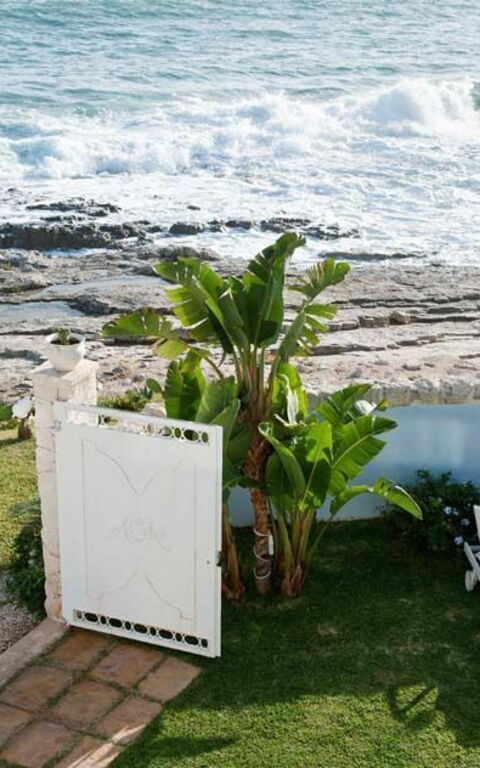 Villa Antares: Trädgård