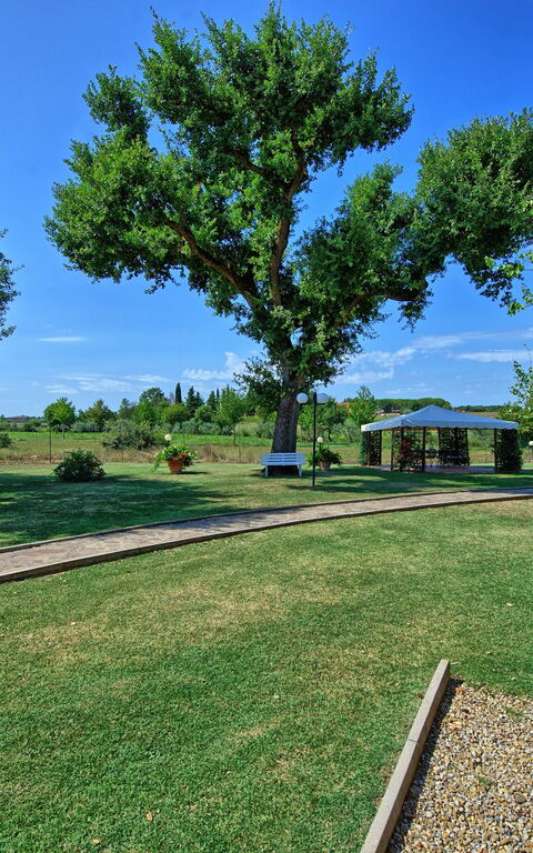 Casa Catia: Trädgård