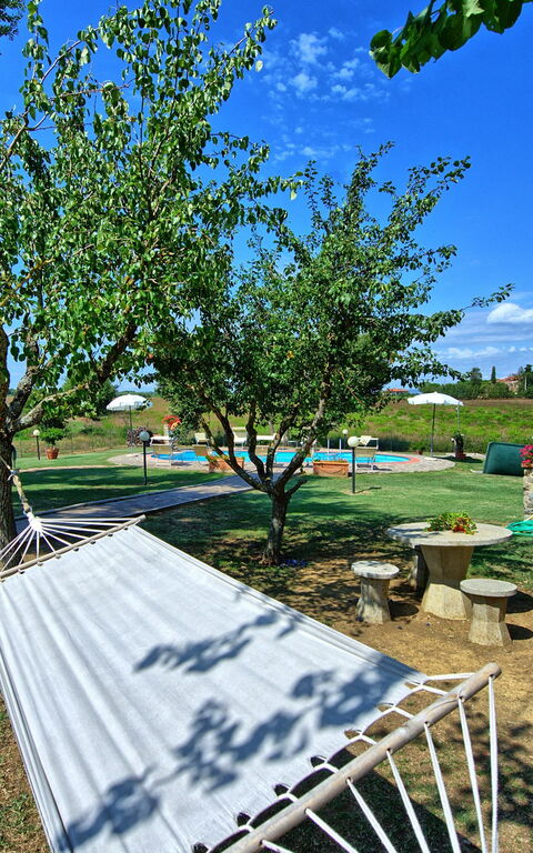 Casa Catia: Trädgård