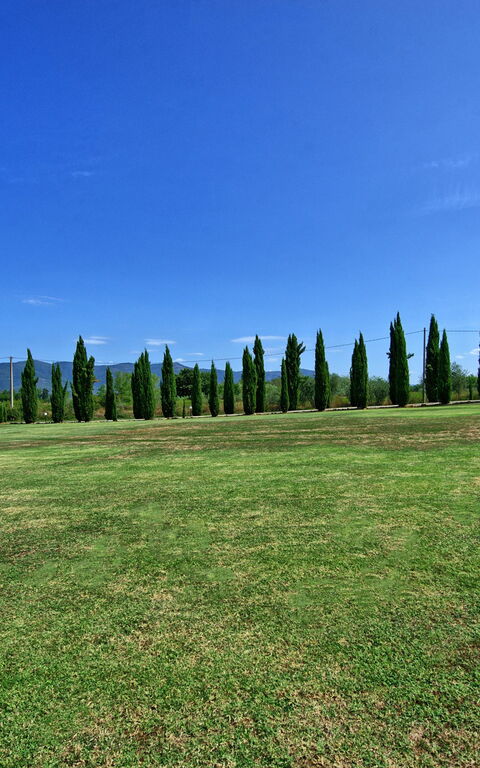 Casa Catia: Trädgård