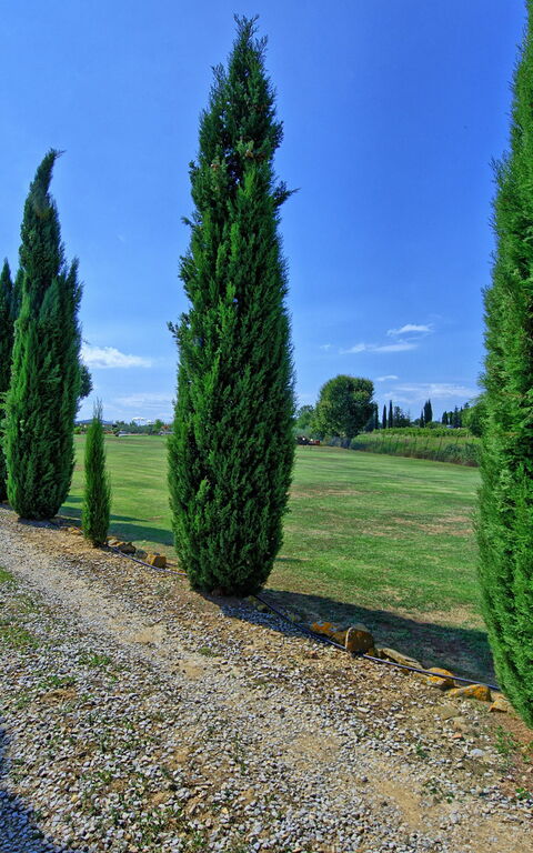 Casa Catia: Visningar