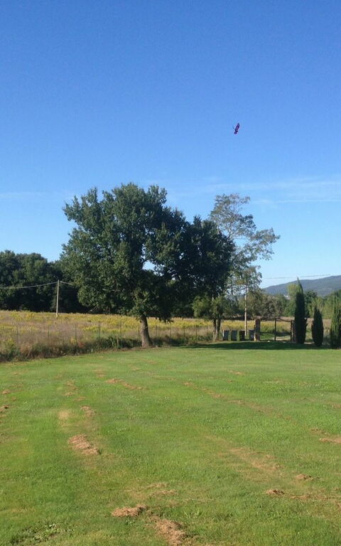 Casa Catia: Trädgård, Visningar