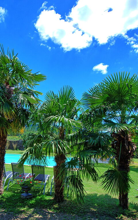 Villa Capolona: slå samman, Utomhus, Visningar