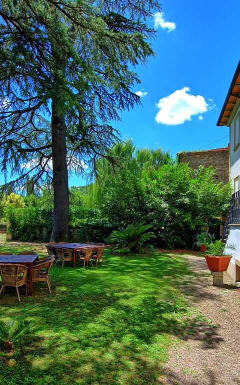 Villa Capolona: Trädgård, Utomhus