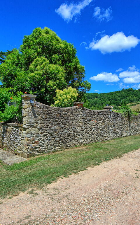 Villa Capolona: Utomhus