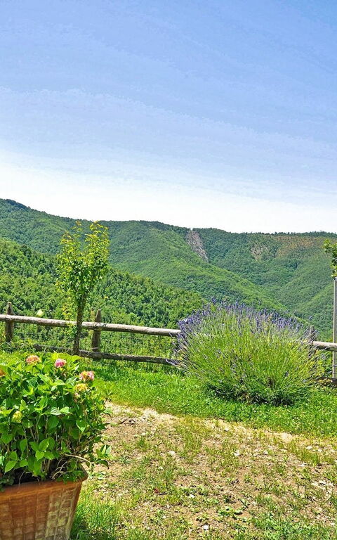 Villa Margherita Uno: Trädgård