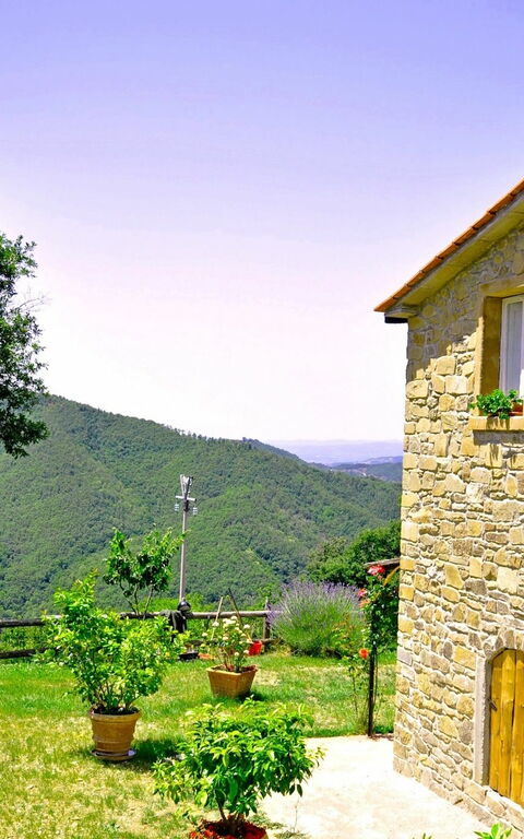 Villa Margherita Uno: Exteriör, Trädgård