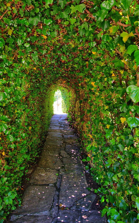 Villa Portole Uno: Trädgård