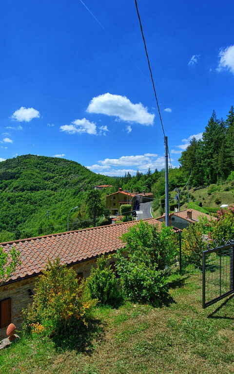 Villa Portole Due: Trädgård, Visningar