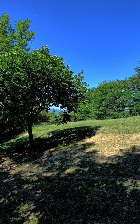 Casale Giotto: Trädgård