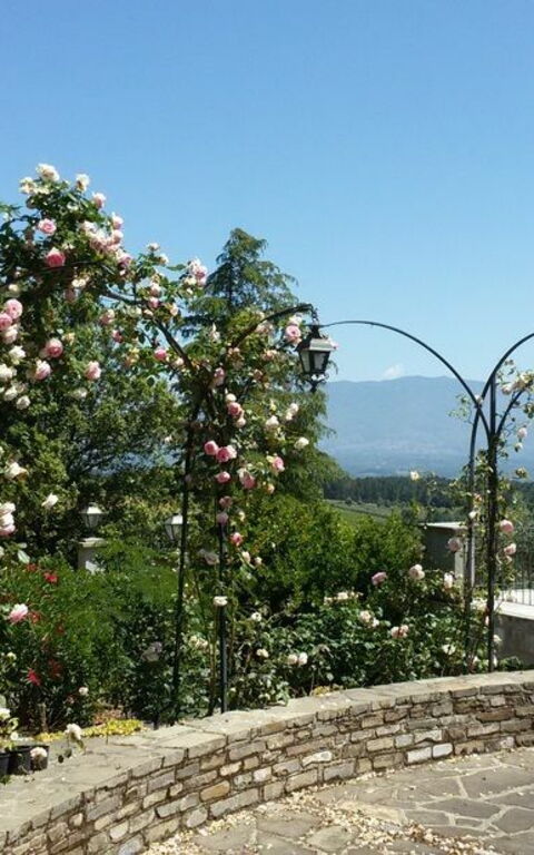 Villa Gaville: Visningar