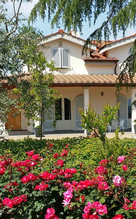 Villa Gaville: Utomhus