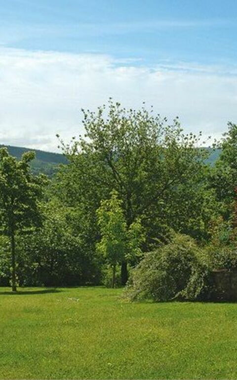 Villa Marika: Trädgård