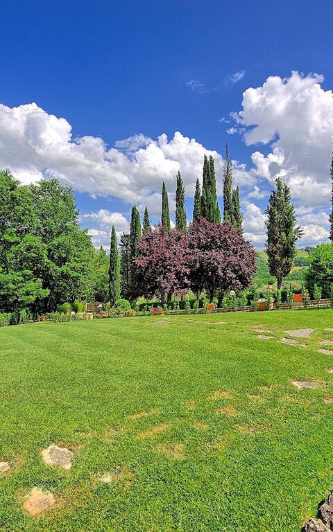 Villa Sabrina: Trädgård