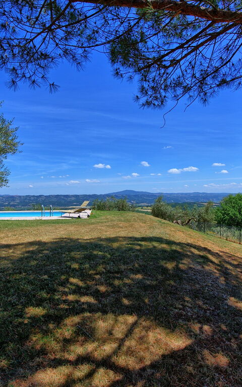 Casa Olivia: Trädgård