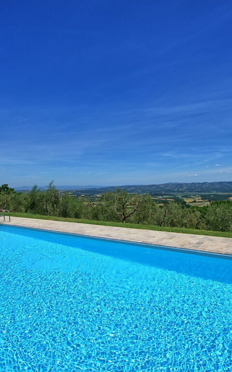 Casa Olivia: slå samman