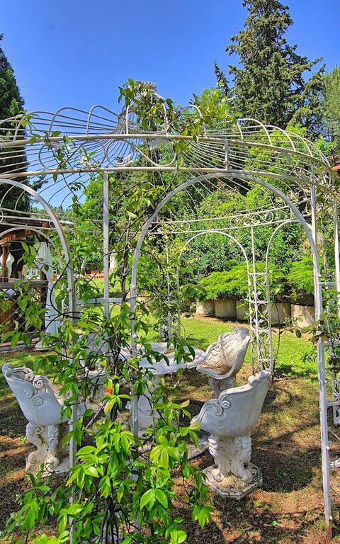 Villa Luciano: Trädgård