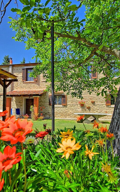 Villa Luciano: Trädgård