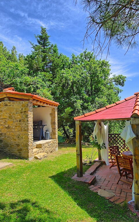 Villa Luciano: Trädgård